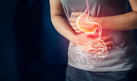 NUTRICIÓN EN PATOLOGIAS DIGESTIVAS